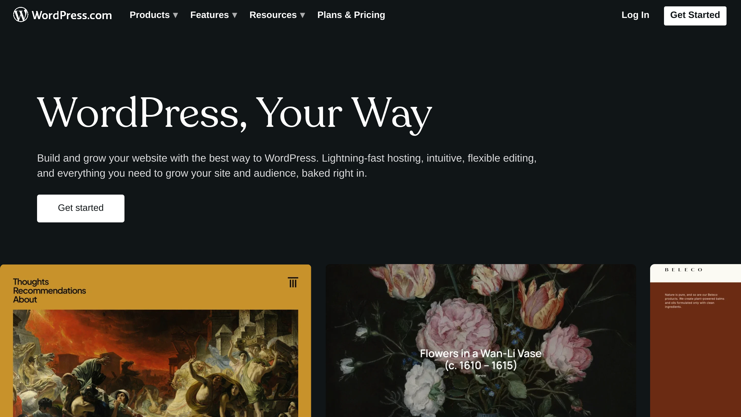 WordPress's website screenshot