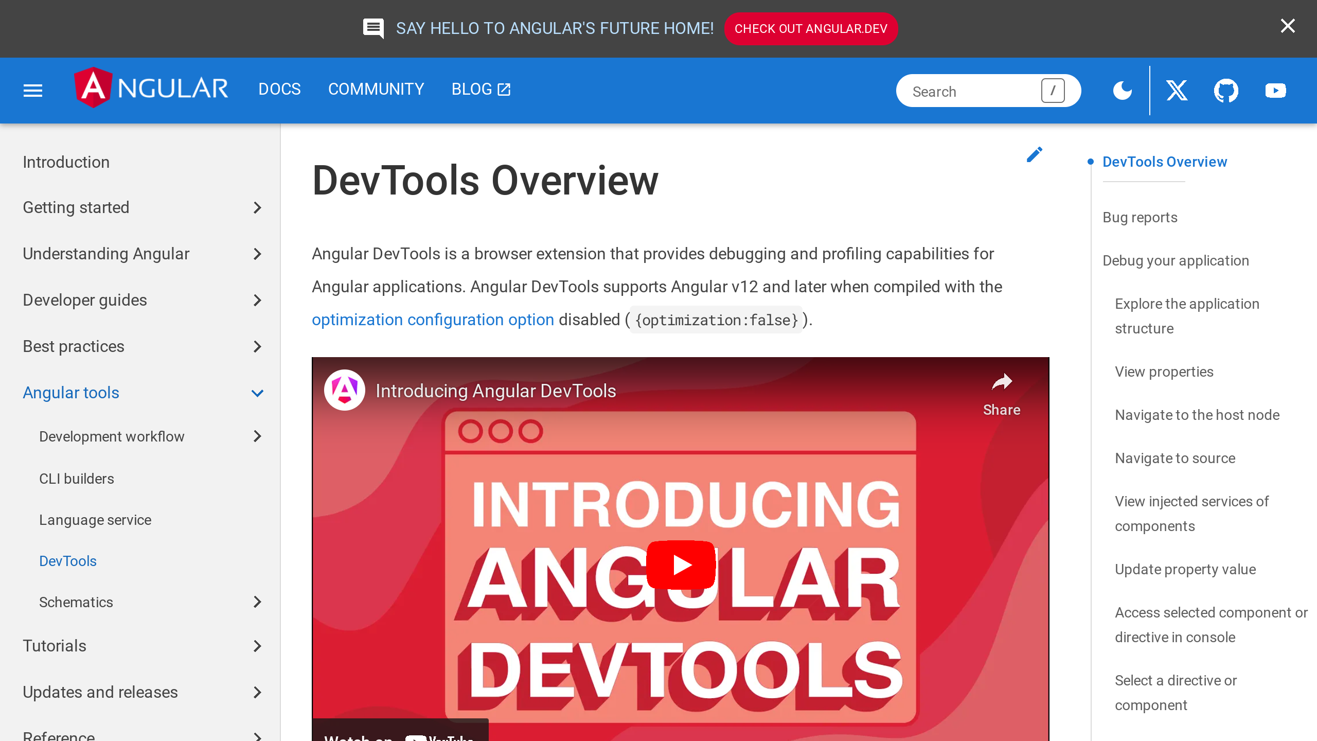 Angular DevTools's website screenshot